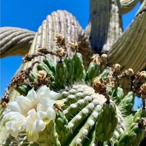 Meet your Posher, Willmtaylor